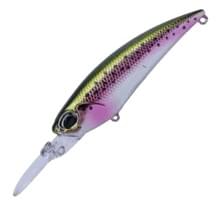 Воблер DUO REALIS SHAD 62DR SP : Rainbow Trout (MCC4036)