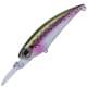 Rainbow Trout