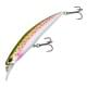 Rainbow Trout