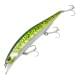 Green Mackerel Lux