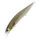 Rainbow Trout ND