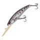 Knifefish ND