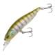 Ghost Gill