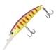 Fang Purple Back Gill