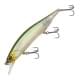 Ghost Minnow