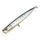 Scaled Sardine