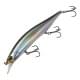 Clear Anchovy