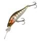 Prism Gill