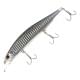 Clear Anchovy