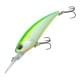 Citrus Shad