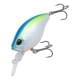 Blue Shad