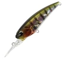 Воблер DUO REALIS SHAD 62DR SP : Brown Back Yamame OB (MCC4018)