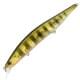 Ghost Gold Perch