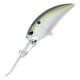 American Shad