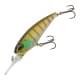 Ghost Gill