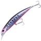 Sardine Noire RB