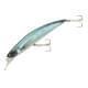Saddled Bream ND