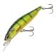 Perch ND