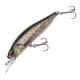 Brown Trout ND