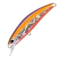 Воблер DUO SPEARHEAD RYUKI 70S SW : Hokkaido (ADA4071)