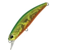Воблер DUO SPEARHEAD RYUKI 80S : Green Gold OB (ADA4059)
