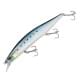 Sardine