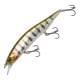 Prism Gill