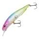 Rainbow Mirage