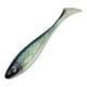 GreenWhitefish