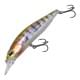 Prism Gill