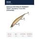 Rainbow Trout HM