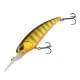 Gold Perch