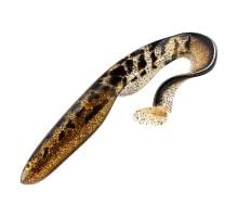 Приманка силиконовая Gator Catfish 35см (1шт) #GlitterBurbot (665)