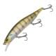 Ghost Gill