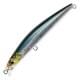 Blackear Sardine