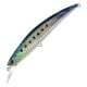 Sardine