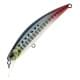 Sardine RT