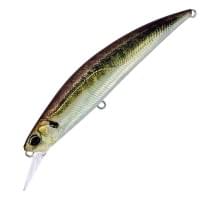 Воблер DUO SPEARHEAD RYUKI 80S SW : Real Aji (ANA0488)