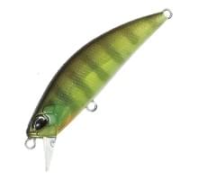 Воблер DUO SPEARHEAD RYUKI 50S : Chart Gill (CCC3055)