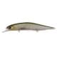 Ghost Minnow