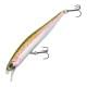 Rainbow Trout