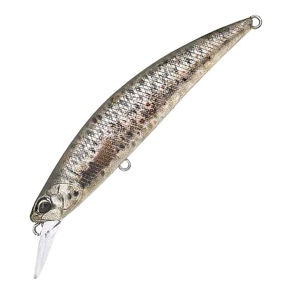Воблер DUO SPEARHEAD RYUKI 80S : Brown Trout ND (CCC3815)