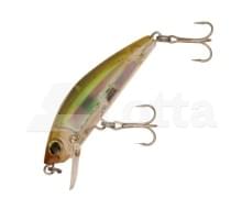 Воблер Yo-Zuri 3D Inshore Minnow 90F R1212-RPCH