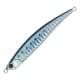Sardine