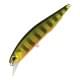 Gold Perch