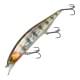 Prism Gill