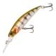 Prism Gill