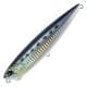 Sardine