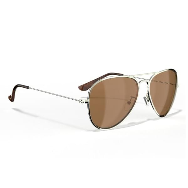 Очки поляризационные Leech Eyewear ATW1 COPPER