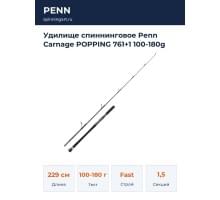 Удилище спиннинговое Penn Carnage POPPING 761+1 100-180g